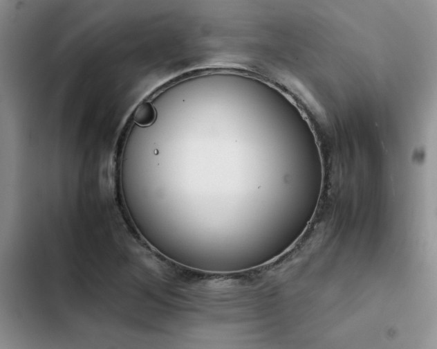 X0000102861268200808181433