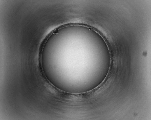 X0000102861270200808181433