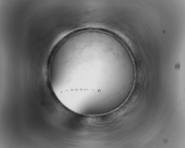 X0000102861271200808181433