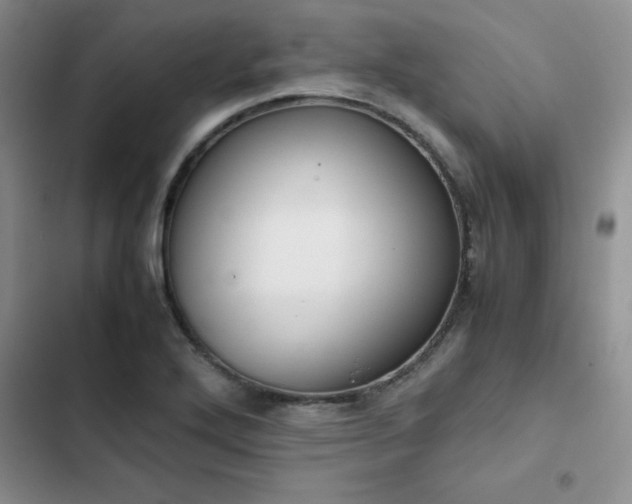 X0000102861272200808181433