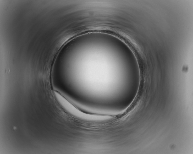 X0000102861273200808181433