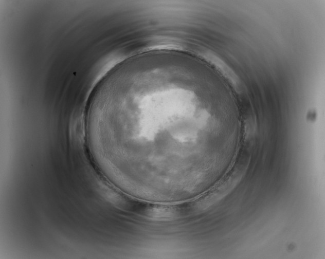 X0000102861274200808181433