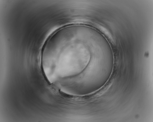 X0000102861275200808181433