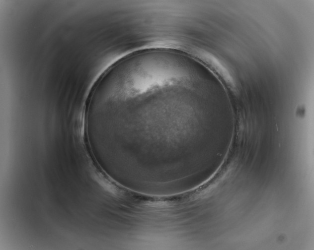 X0000102861276200808181433