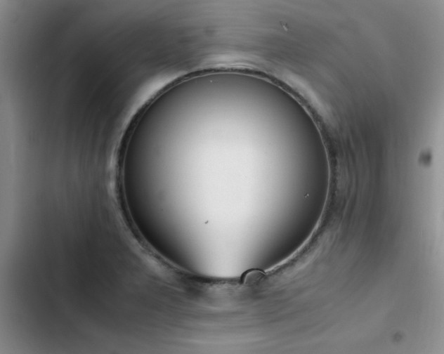 X0000102861277200808181433