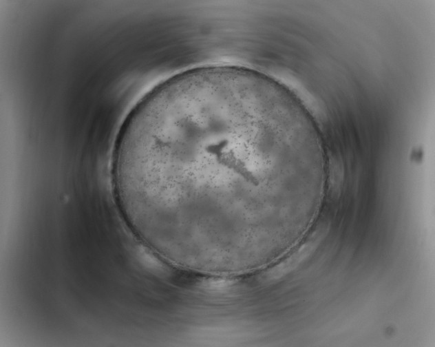 X0000102861278200808181433