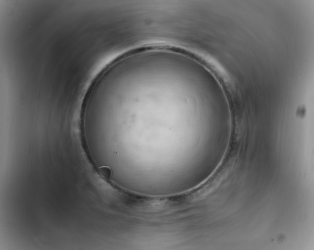 X0000102861279200808181433