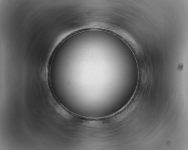 X0000102861280200808181433