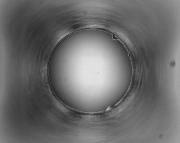 X0000102861281200808181433