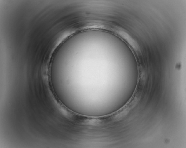 X0000102861282200808181433