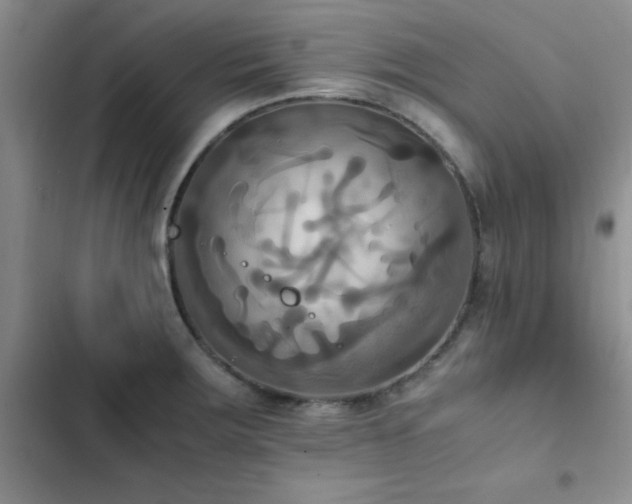 X0000102861283200808181433