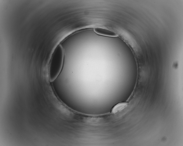 X0000102861284200808181433