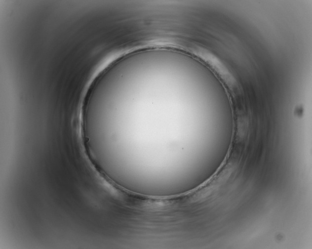 X0000102861286200808181432