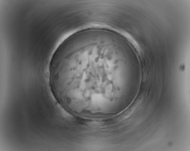 X0000102861287200808181432