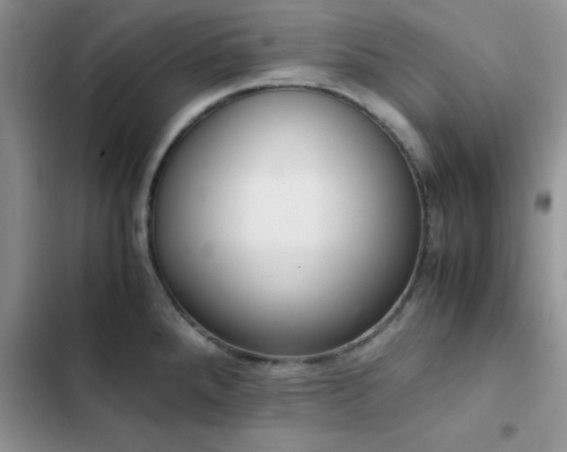 X0000102861288200808181432