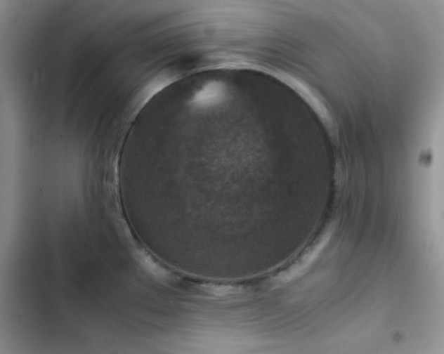 X0000102861289200808181432