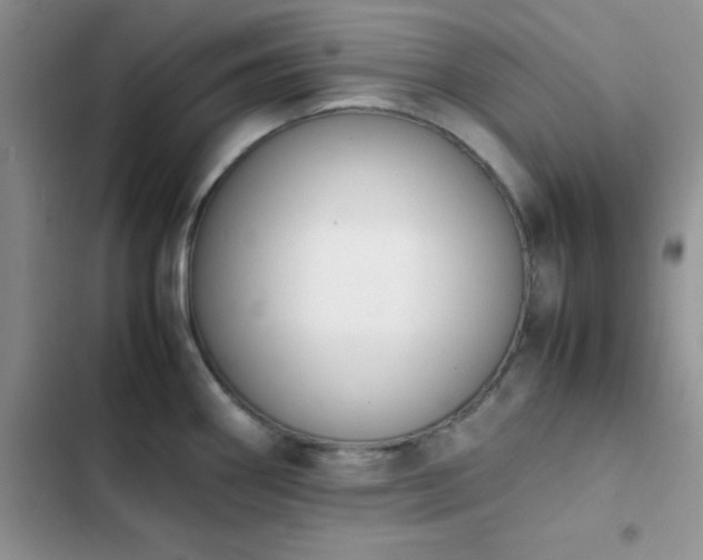 X0000102861290200808181432