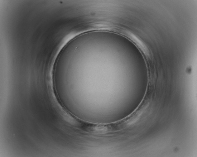 X0000102861291200808181432