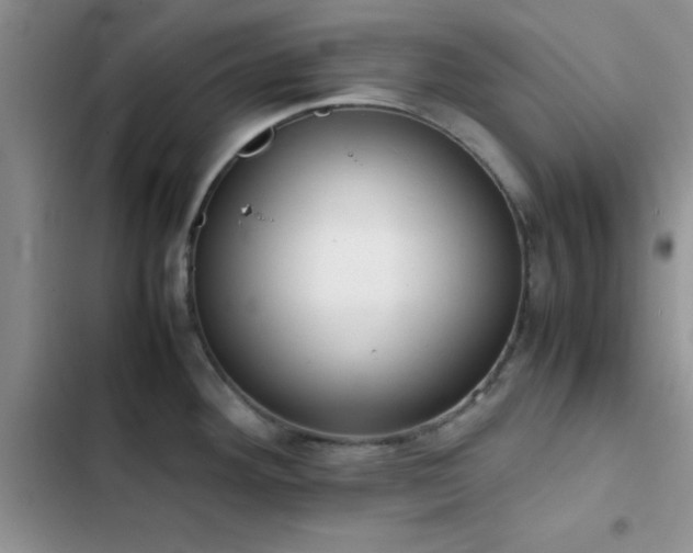 X0000102861292200808181432