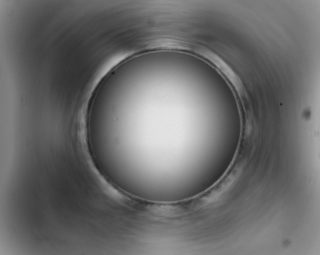 X0000102861293200808181432