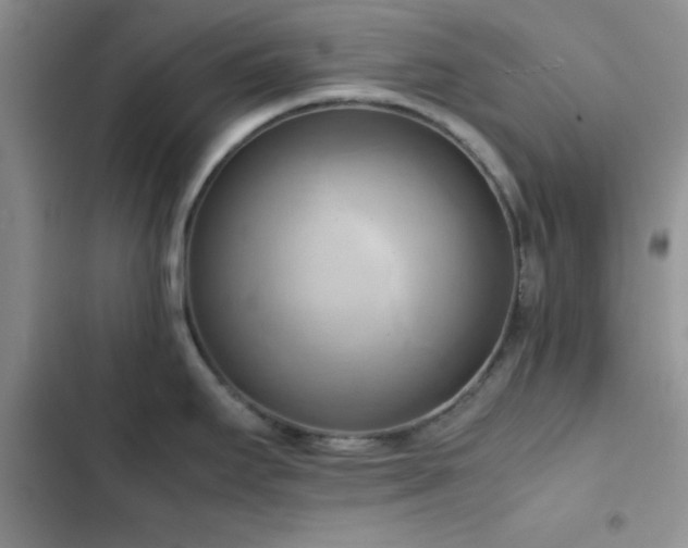 X0000102861295200808181432