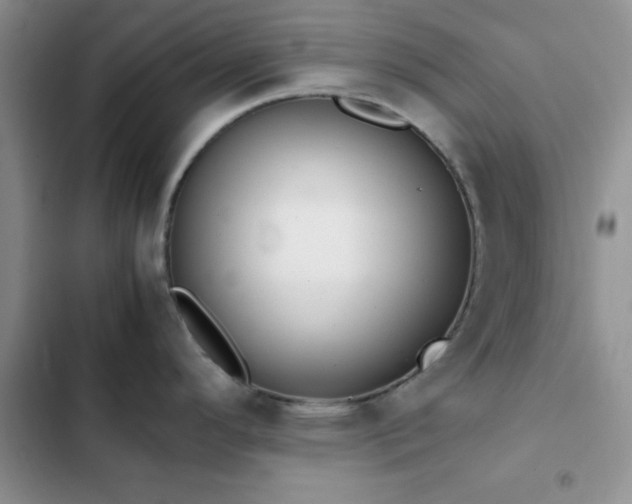 X0000102861296200808181432