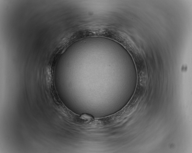 X0000102861298200808181431