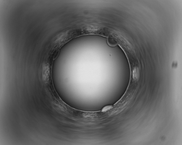 X0000102861299200808181431