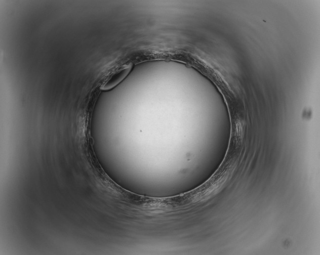 X0000102861300200808181431