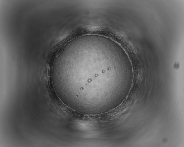 X0000102861301200808181432