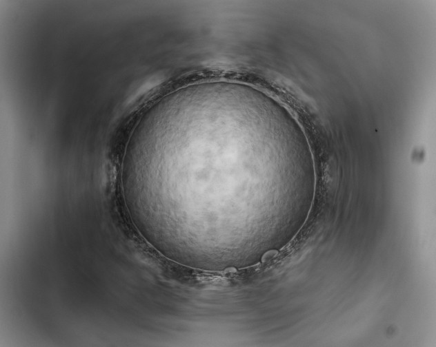 X0000102861302200808181432