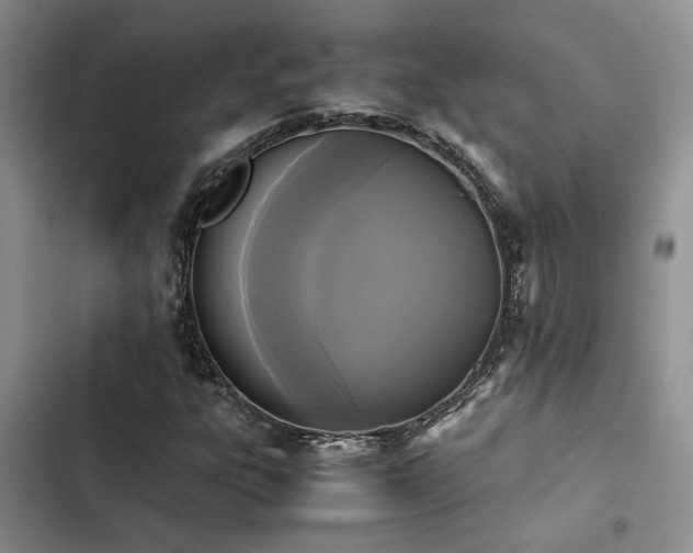 X0000102861303200808181432