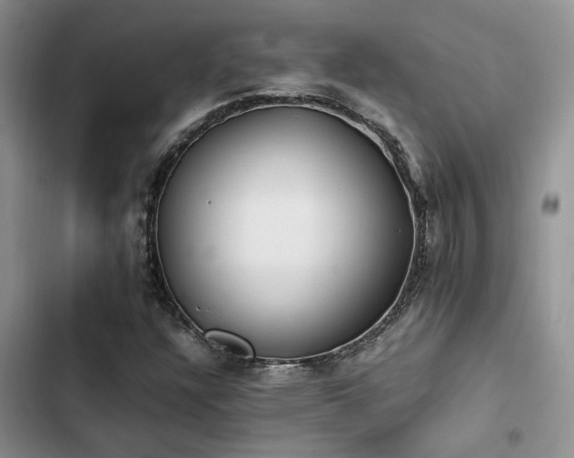 X0000102861304200808181432