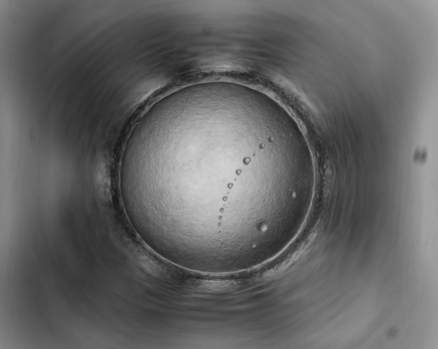 X0000102861305200808181432