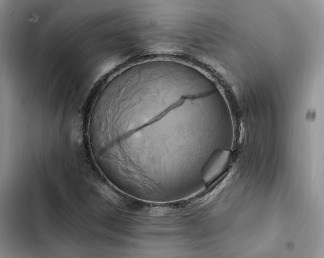 X0000102861306200808181432