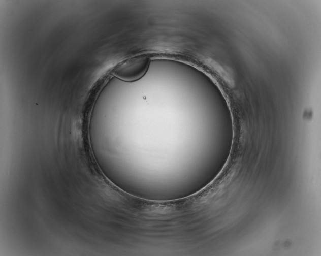 X0000102861307200808181432