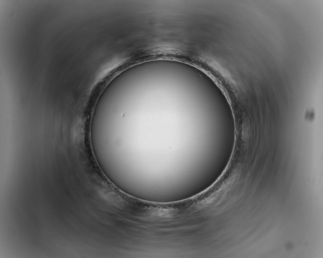 X0000102861309200808181432