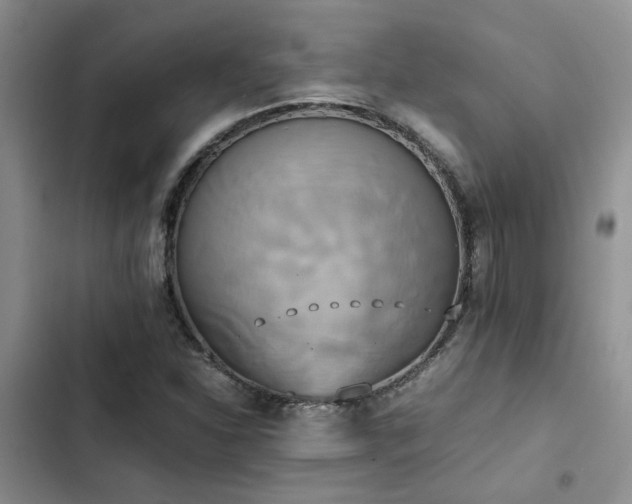 X0000102861310200808181432