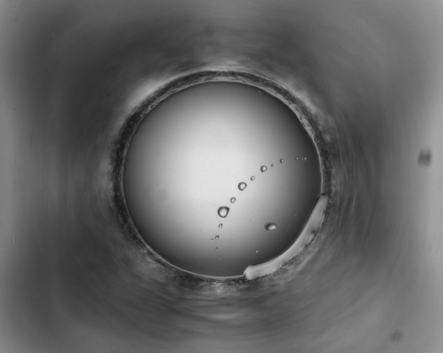 X0000102861311200808181432