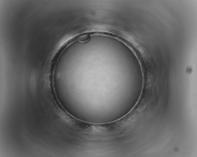 X0000102861312200808181432