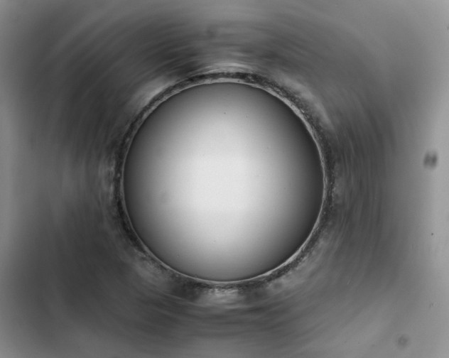 X0000102861313200808181432