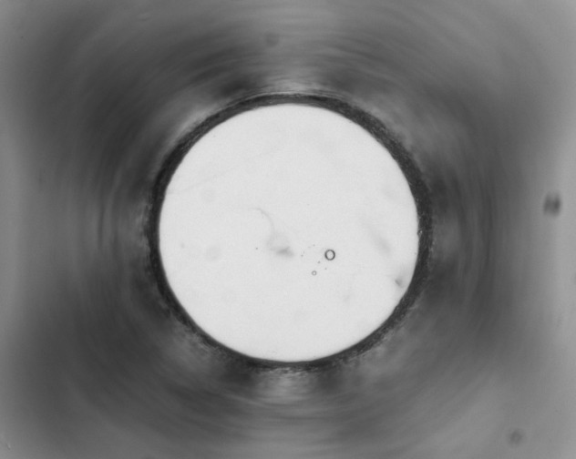 X0000102861314200808181432