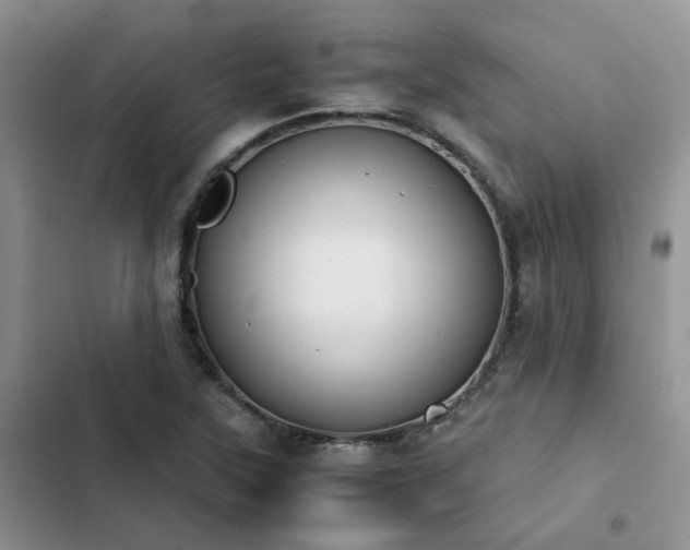 X0000102861315200808181432