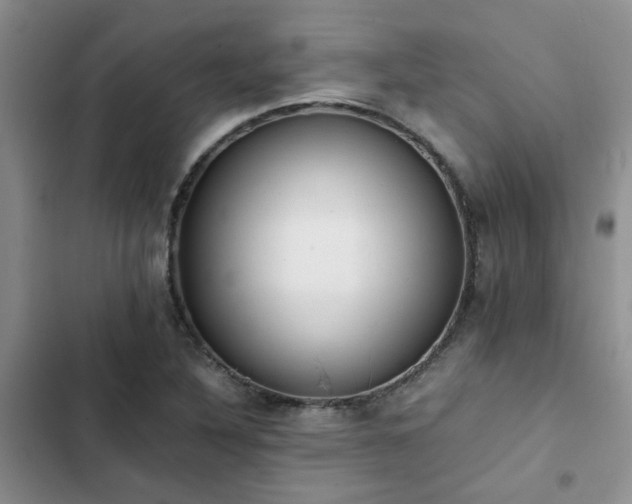 X0000102861316200808181432