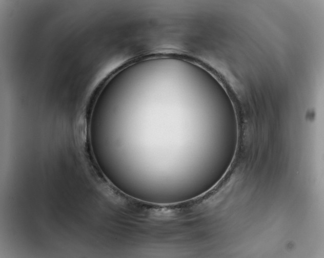 X0000102861317200808181432