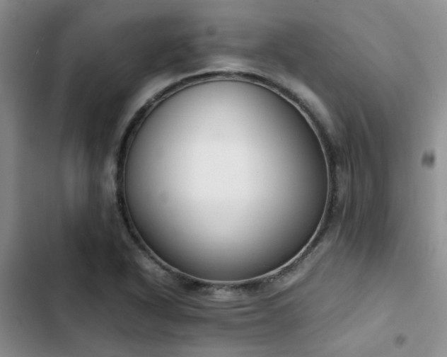 X0000102861318200808181432