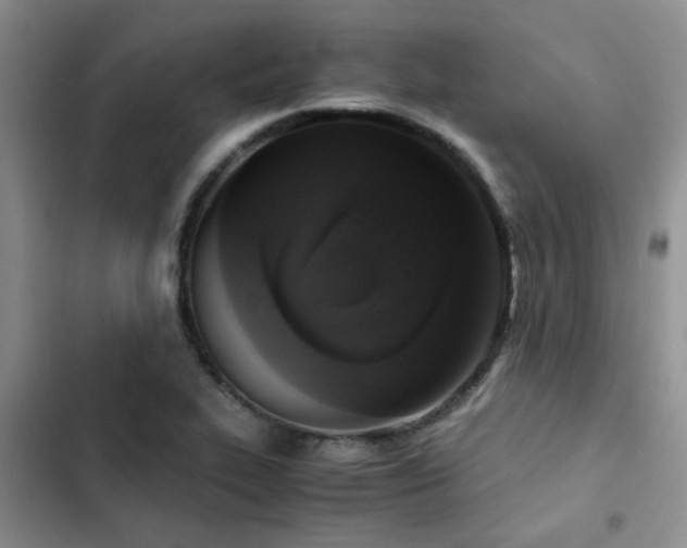 X0000102861319200808181432