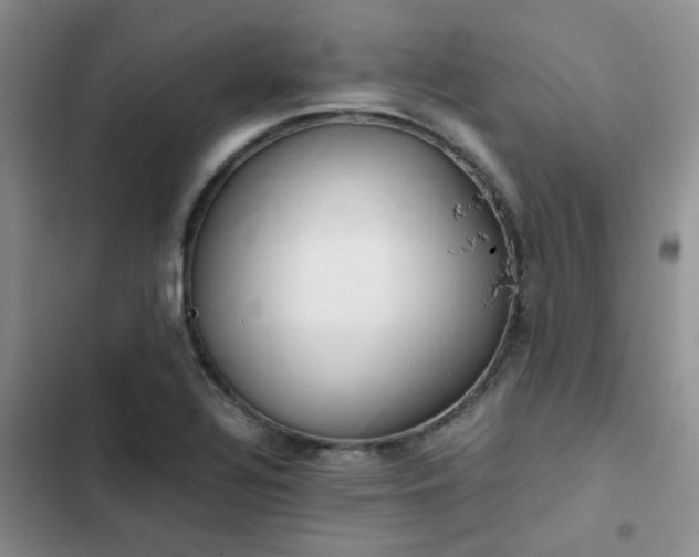 X0000102861320200808181432