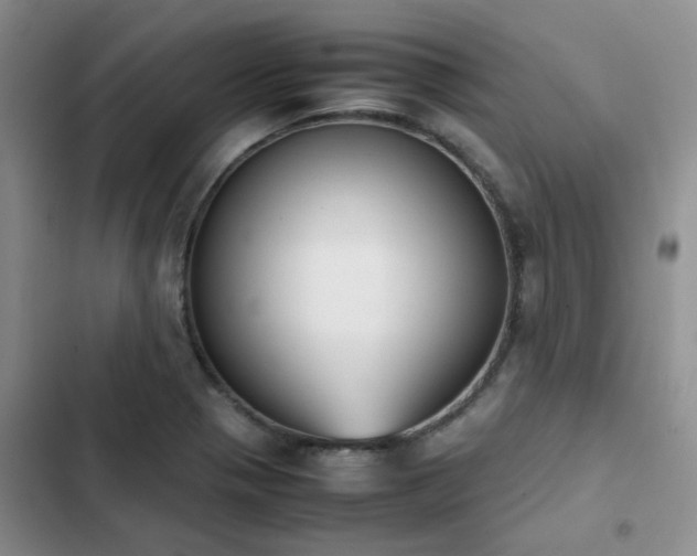 X0000102861321200808181432