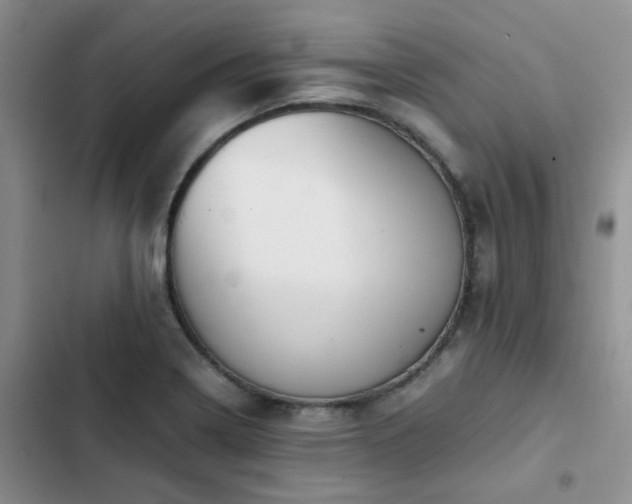 X0000102861322200808181432